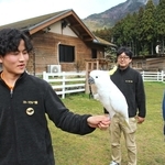 ４月からヨーデルの森の動物部門で働く尾関海翔さん（左）と、細岡友行支配人（中央）ら＝神河町猪篠