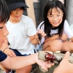 カブトムシと触れ合う子どもたち＝赤穂市有年横尾