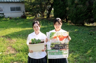 今年のイチゴの試験栽培に挑戦する生徒＝宍粟市千種町千草、千種高校