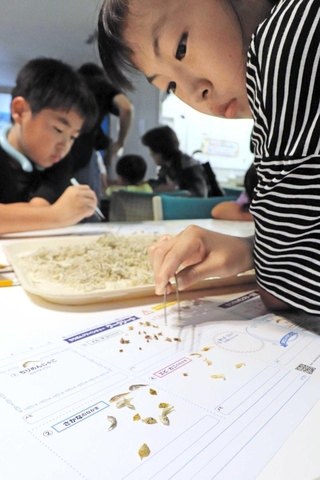 真剣な表情でちりめんじゃこから生き物を探す子どもら＝相生市文化会館なぎさホール