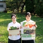 今年のイチゴの試験栽培に挑戦する生徒＝宍粟市千種町千草、千種高校
