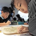 真剣な表情でちりめんじゃこから生き物を探す子どもら＝相生市文化会館なぎさホール
