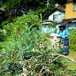 ブルーベリーの収穫を楽しむ子どもたち＝宍粟市波賀町安賀