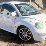 自由に落書きされた「わんまるカー」（提供）