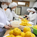 昨年収穫されたユズの加工作業＝２０２５年１１月、相生市矢野町小河