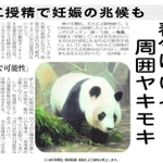 ２００３年９月６日付紙面