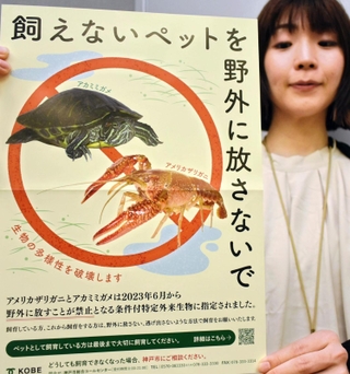 放流の禁止を呼びかける神戸市のポスター＝神戸市中央区加納町６