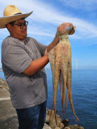 ５・８キロの巨大タコ。国内最大級とみられるが、「僕と並ぶと、あんまり大きく見えないんです」と話す沼端雅敏船長＝２日午後、明石市中崎１