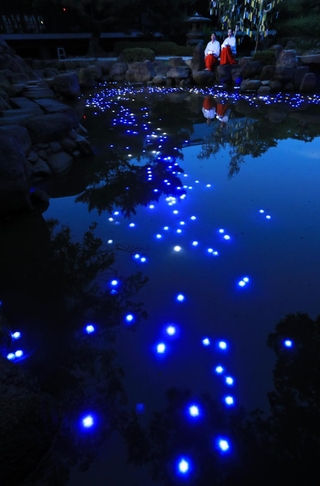 水面に浮かび上がったＬＥＤの「天の川」＝６日夜、西宮市社家町、西宮神社（撮影・吉田敦史）