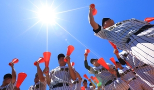 梅雨明けのような厳しい日差しの中、高校野球の応援団も熱く声援を送る＝１６日午前、明石市、明石トーカロ球場（撮影・鈴木雅之）
