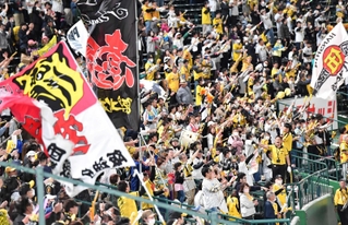試合後、ライトスタンドで盛り上がる阪神ファン＝甲子園（撮影・中田匡峻）