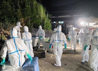 養豚場で始まった殺処分の様子＝２２日夜、南あわじ市（兵庫県提供）