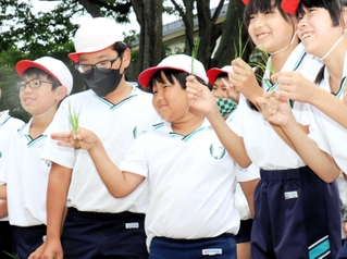 田植えの前に、自分の種もみから育てた苗を手に笑顔を見せる新宅佑輔君（中央）＝井吹東小学校