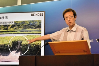 市道沿いにある街路樹の状況を説明する久元喜造市長＝２８日午後、神戸市役所