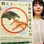 放流の禁止を呼びかける神戸市のポスター＝神戸市中央区加納町６