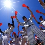 梅雨明けのような厳しい日差しの中、高校野球の応援団も熱く声援を送る＝１６日午前、明石市、明石トーカロ球場（撮影・鈴木雅之）