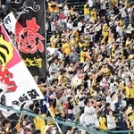 試合後、ライトスタンドで盛り上がる阪神ファン＝甲子園（撮影・中田匡峻）