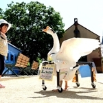 歩行器を使ってふれあい広場を散歩するガチョウのがっちゃん＝神戸市灘区王子町３、王子動物園