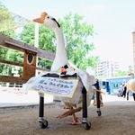 神戸新聞NEXT