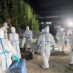 養豚場で始まった殺処分の様子＝２２日夜、南あわじ市（兵庫県提供）