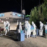 養豚場で始まった殺処分の作業の様子＝２２日夜、南あわじ市（兵庫県提供）