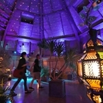 モロッコランプや植物で彩られ、幻想的な空間となった「癒やしの森」＝神戸市中央区葺合町、神戸布引ハーブ園森のホール