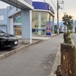 ビッグモーター宝塚インター店と、切られた街路樹＝２７日午後、宝塚市安倉中１