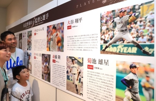 ダルビッシュ有選手や大谷翔平選手ら、東北の高校出身のメジャーリーガーを紹介する展示＝西宮市甲子園町、甲子園歴史館（撮影・吉田敦史）