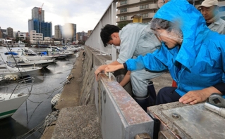 台風７号が兵庫を直撃する恐れが高まり、兵庫県の指示を受けて慌ただしく明石港の防潮ゲートを閉めて回る明石市職員ら＝１４日夕、明石市中崎２（撮影・小林良多）