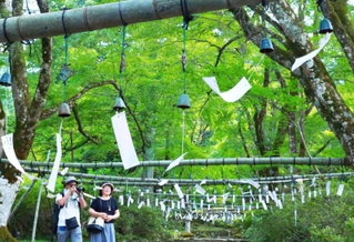 緑の参道で風に揺れる風鈴＝丹波市青垣町桧倉、高源寺