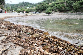 大量の木ぎれや流木が砂浜に押し寄せた＝今子浦海水浴場