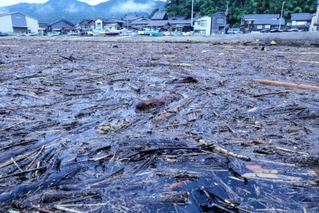 湾一面に広がる倒木や木の枝のごみ。漁船が出漁できなくなっている＝香美町香住区下浜