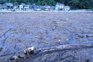 湾一面に広がる倒木や木の枝のごみ。漁船が出漁できなくなっている＝香美町香住区下浜