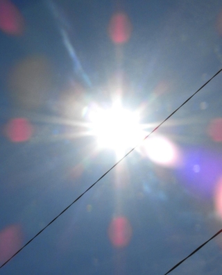 神戸新聞ＮＥＸＴ