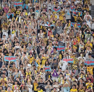 スタンドで盛り上がる阪神ファン＝２７日午後、東京ドーム（撮影・吉沢敬太）
