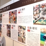 ダルビッシュ有選手や大谷翔平選手ら、東北の高校出身のメジャーリーガーを紹介する展示＝西宮市甲子園町、甲子園歴史館（撮影・吉田敦史）