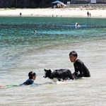愛犬と海水浴を楽しむ人の姿も＝６日、新温泉町の諸寄海水浴場