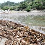 大量の木ぎれや流木が砂浜に押し寄せた＝今子浦海水浴場