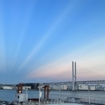 夕刻、東の空に現れた光芒＝１６日午後、神戸市東灘区（安岡さん提供）