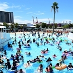 たくさんの来園者でにぎわう屋外プール＝２６日午前、神戸市東灘区向洋町中８