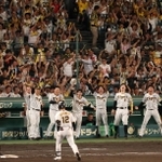 ＤｅＮＡ戦の８回裏に坂本（１２）が先制タイムリー打を放ち、喜ぶ阪神の選手やスタンドの観客＝２９日夜、西宮市の甲子園球場（撮影・小林良多）