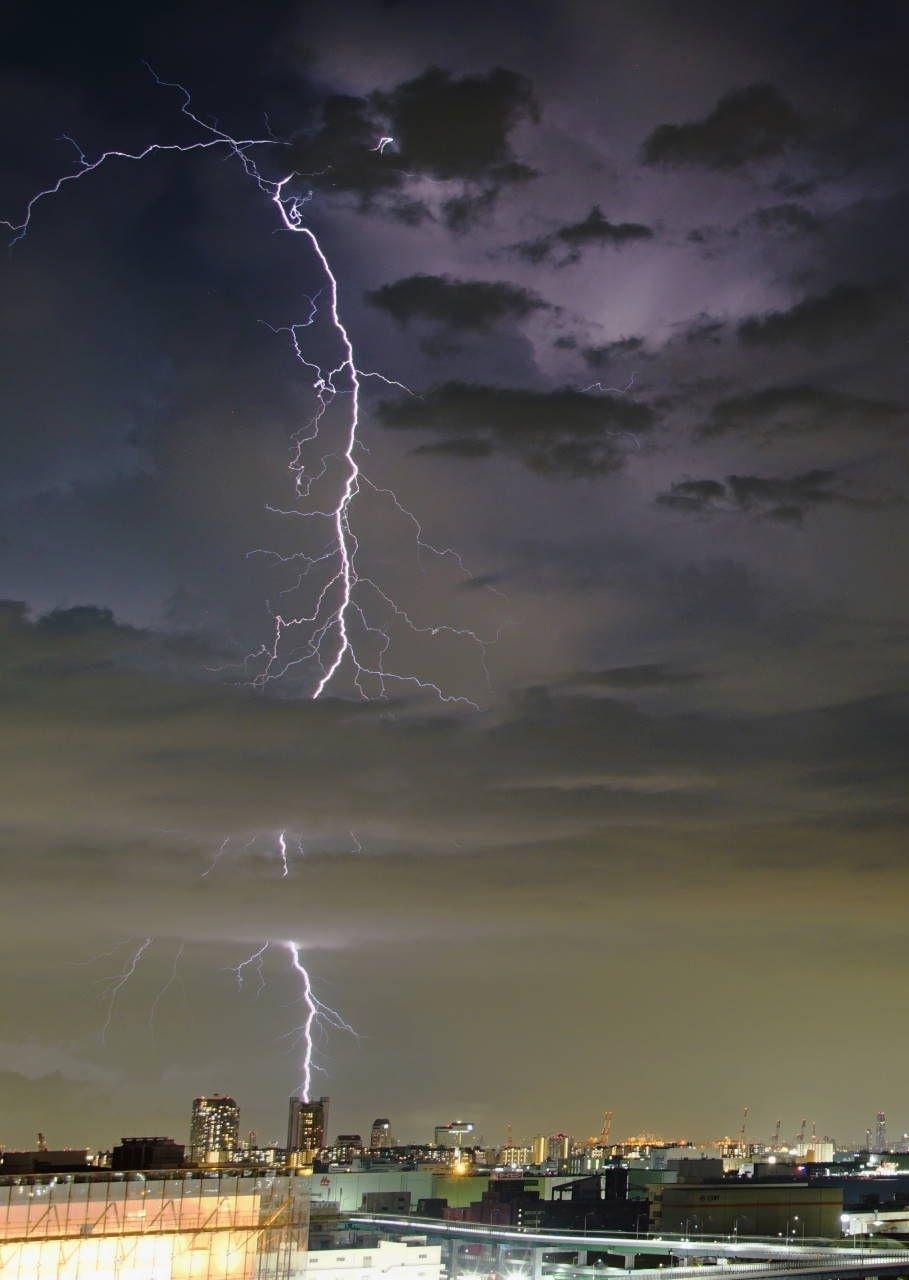 今見た気がした稲光 捉えた一瞬、夜空を切り裂く稲光 神戸の男性が撮影成功|社会