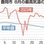 神戸新聞ＮＥＸＴ