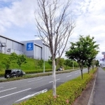２０２１年５月時点のビッグモーター神戸北店前の街路樹。手前の木が枯れている（神戸市提供）