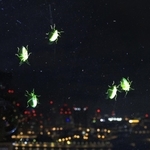 「ライムグリーン軍団」現る。深夜、高層階の窓に張り付いたツヤアオカメムシ＝神戸市中央区東川崎町１、神戸新聞社本社