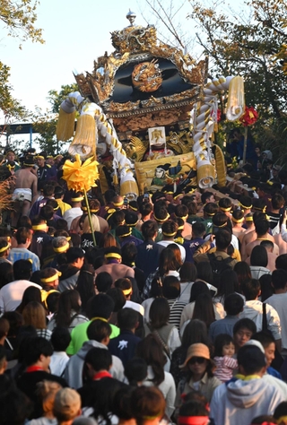 西日を浴び、御旅山山頂へ向かう宇佐崎の屋台＝１５日午後、姫路市白浜町（撮影・風斗雅博）