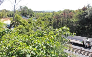 第二神明道路の南側に広がる市有地＝明石市大久保町松陰