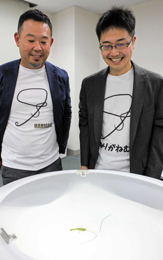 カマキリとハリガネムシ（手前）の関係について説明する理研の三品達平客員研究員（右）と京都大生態学研究センターの佐藤拓哉准教授＝神戸市中央区港島南町２