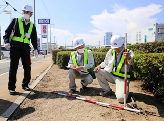 ビッグモーター加古川店前の植栽を調査する県加古川土木事務所の職員＝７月２８日午後、加古川市加古川町南備後