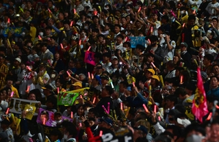 日本シリーズ進出を祝ってペンライトを振って盛り上がる阪神ファン＝２０日、西宮市の甲子園球場